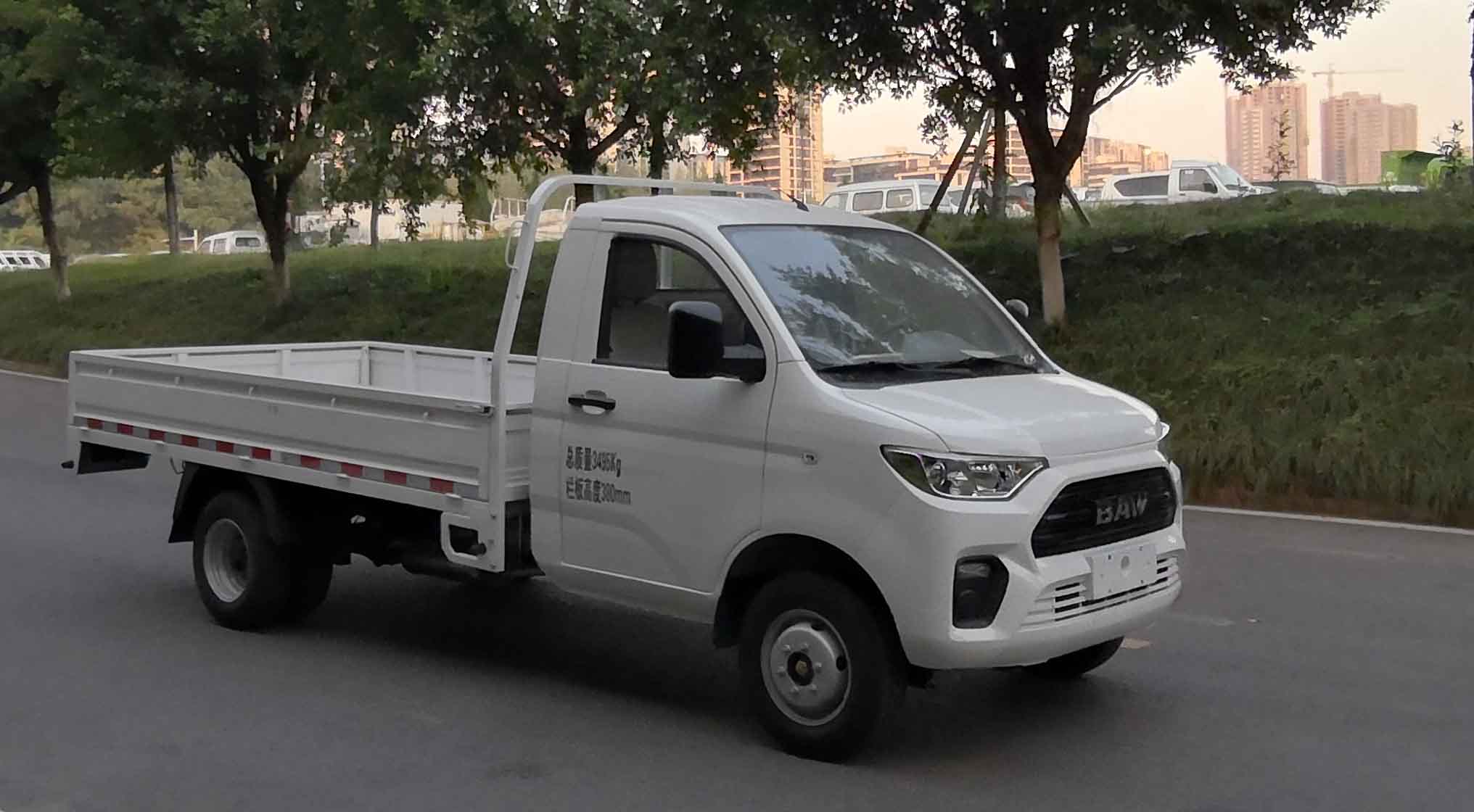 锐胜牌BAW1031P1A51轻型载货汽车图片