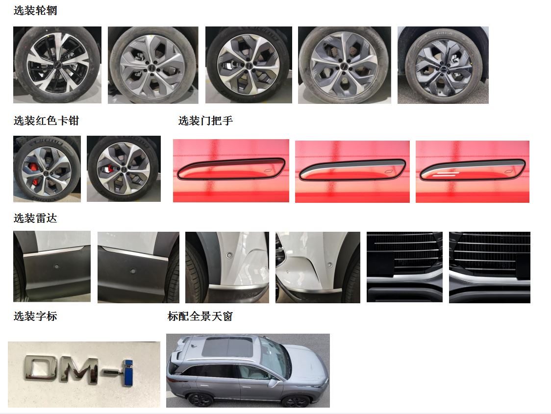 比亚迪牌BYD6482ST6HEV1插电式混合动力多用途乘用车公告图片