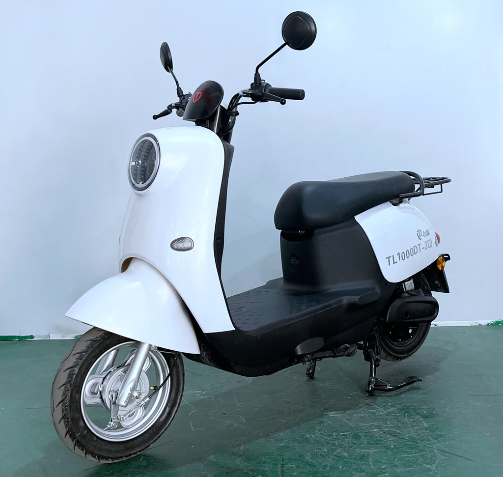 台铃牌TL1000DT-32D电动两轮摩托车公告图片