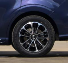 邁越牌AAR5030XSW商務(wù)車(chē)公告圖片