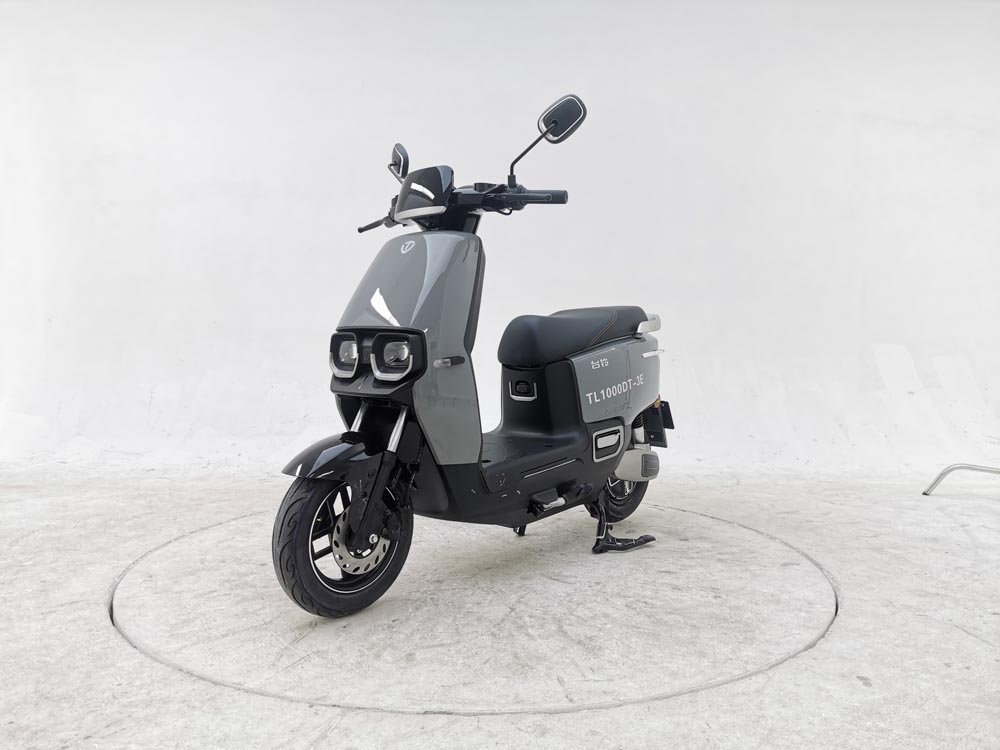 台铃牌TL1000DT-3E电动两轮摩托车公告图片