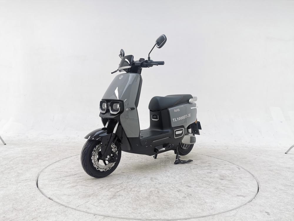 台铃牌TL1000DT-3E电动两轮摩托车公告图片