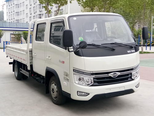 福田牌BJ1045V8AB6-32载货汽车公告图片