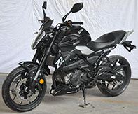 新感觉牌XGJ250-6C两轮摩托车公告图片