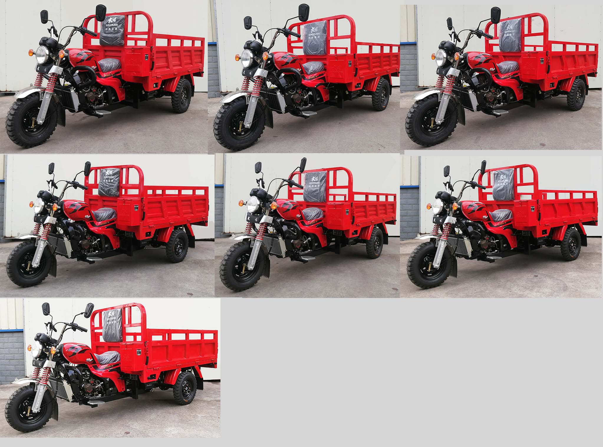 大阳牌DY150ZH-3E正三轮摩托车公告图片