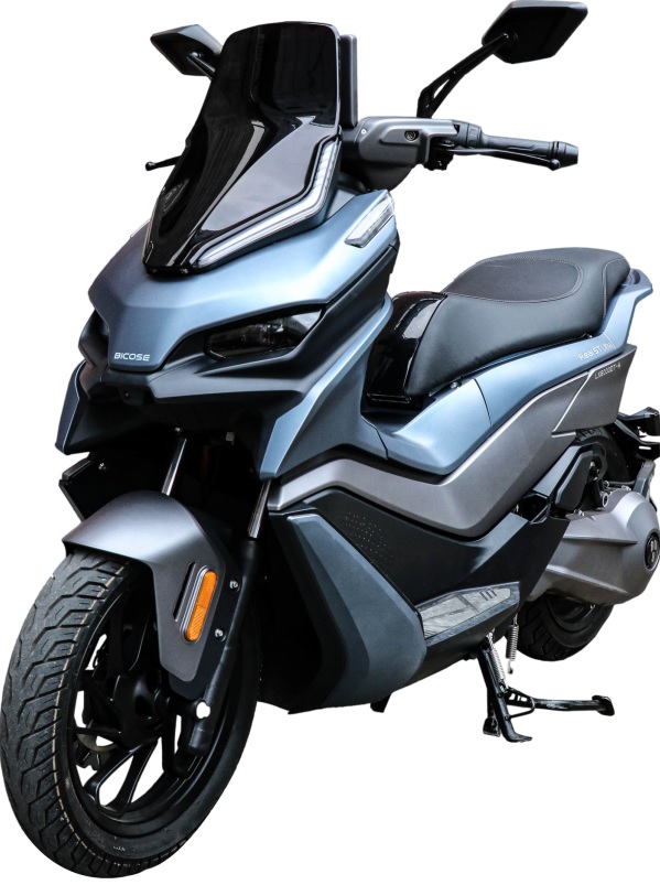 茵未牌LX6000DT-A电动两轮摩托车图片