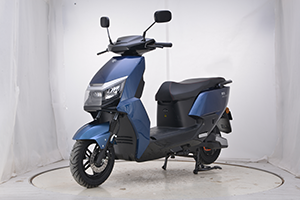 爱玛牌AM1200DT-25电动两轮摩托车公告图片