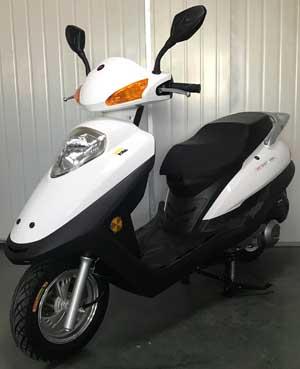 光速牌GS125T-19N两轮摩托车公告图片