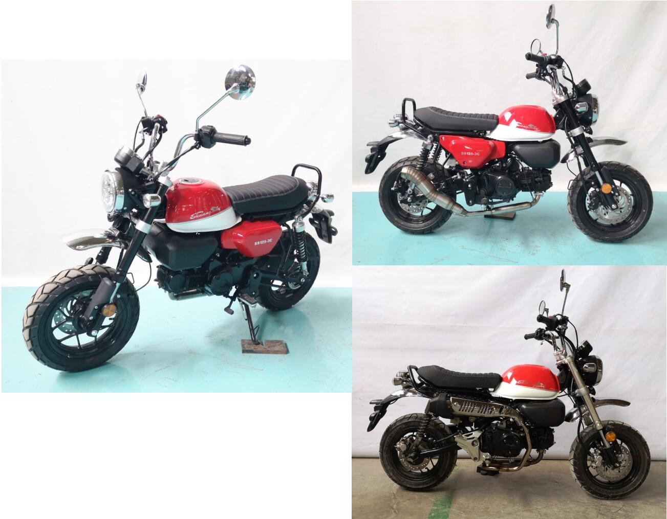 双狮牌SS125-3C两轮摩托车公告图片