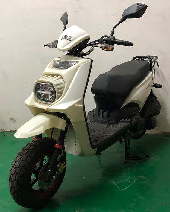 沃鹰王牌YW125T-9A两轮摩托车公告图片