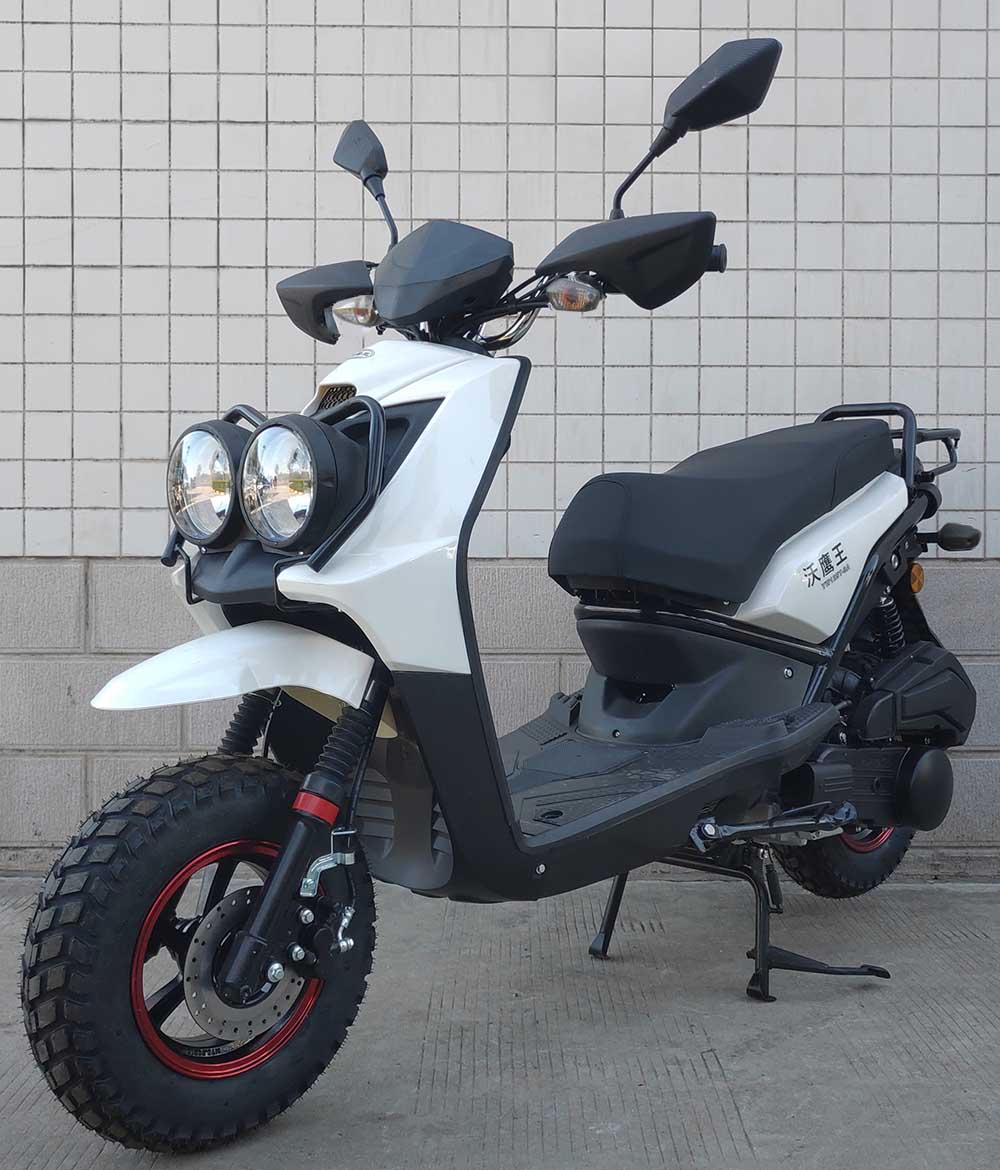 沃鹰王牌YW125T-9A两轮摩托车公告图片