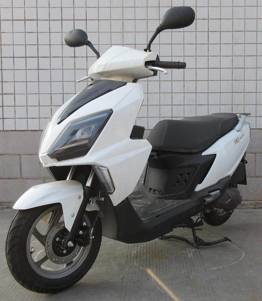 沃鹰王牌YW125T-12A两轮摩托车公告图片