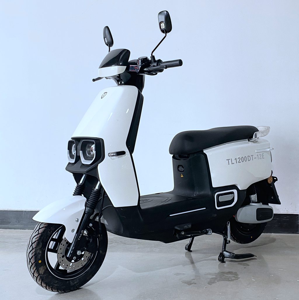 台铃牌TL1200DT-12E电动两轮摩托车图片