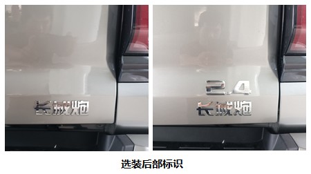 长城牌CC1030RS60F多用途货车公告图片