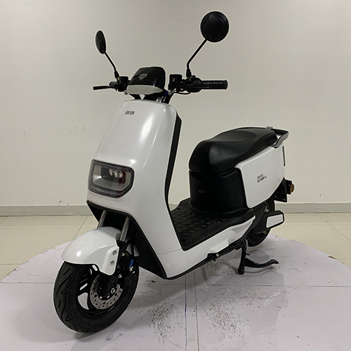 格林牌GL1200DT-8电动两轮摩托车公告图片