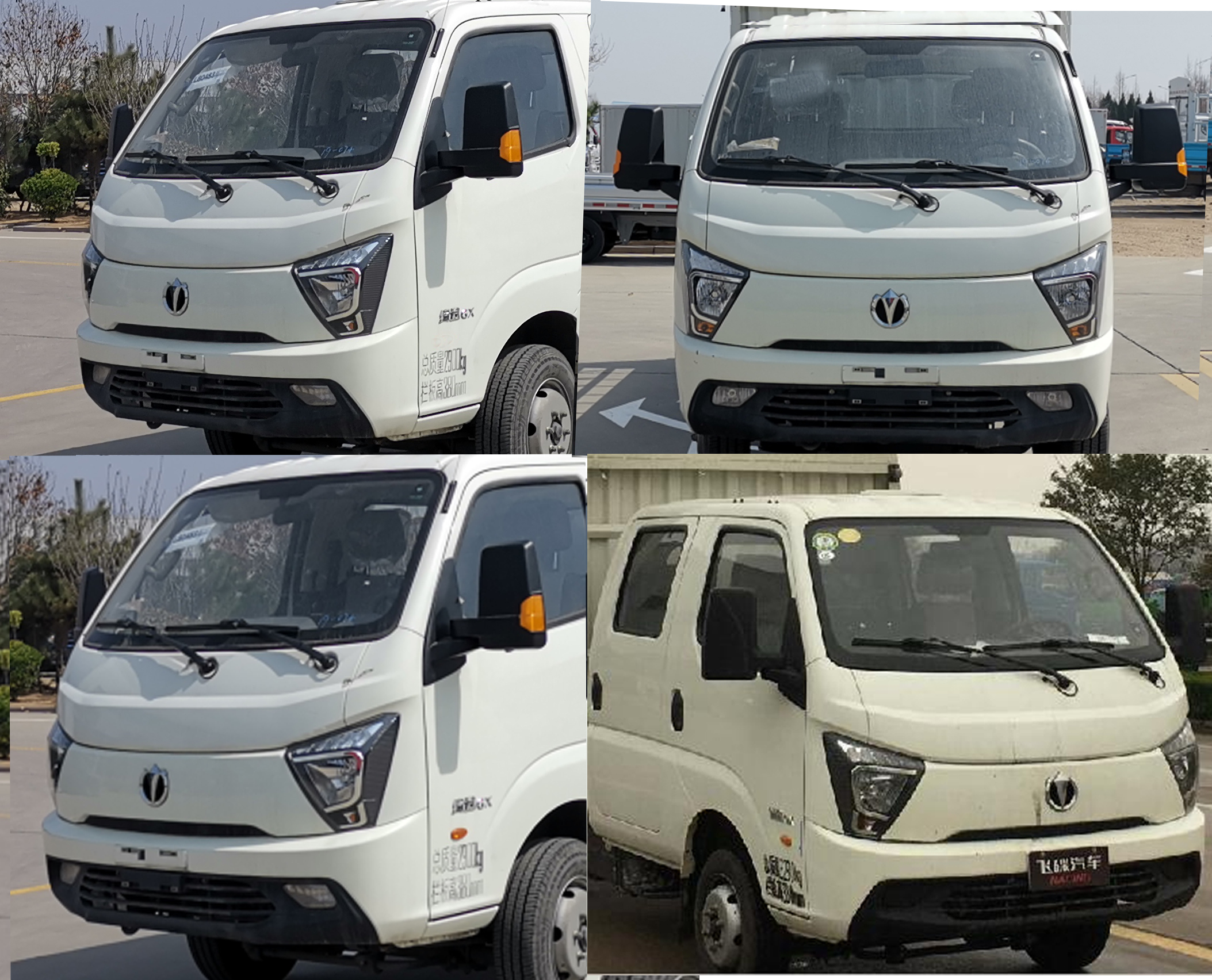 飛碟牌FD5033CCYR66K6-1倉(cāng)柵式運(yùn)輸車公告圖片