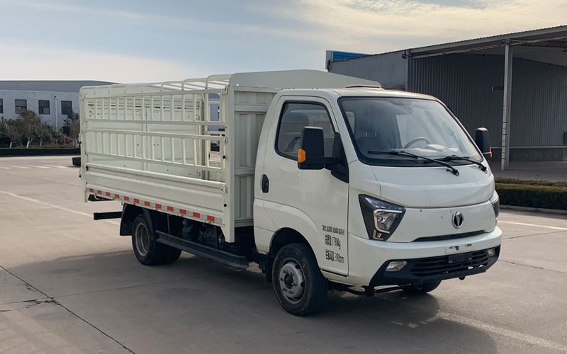 飛碟牌FD5043CCYD66K6-1倉柵式運(yùn)輸車公告圖片