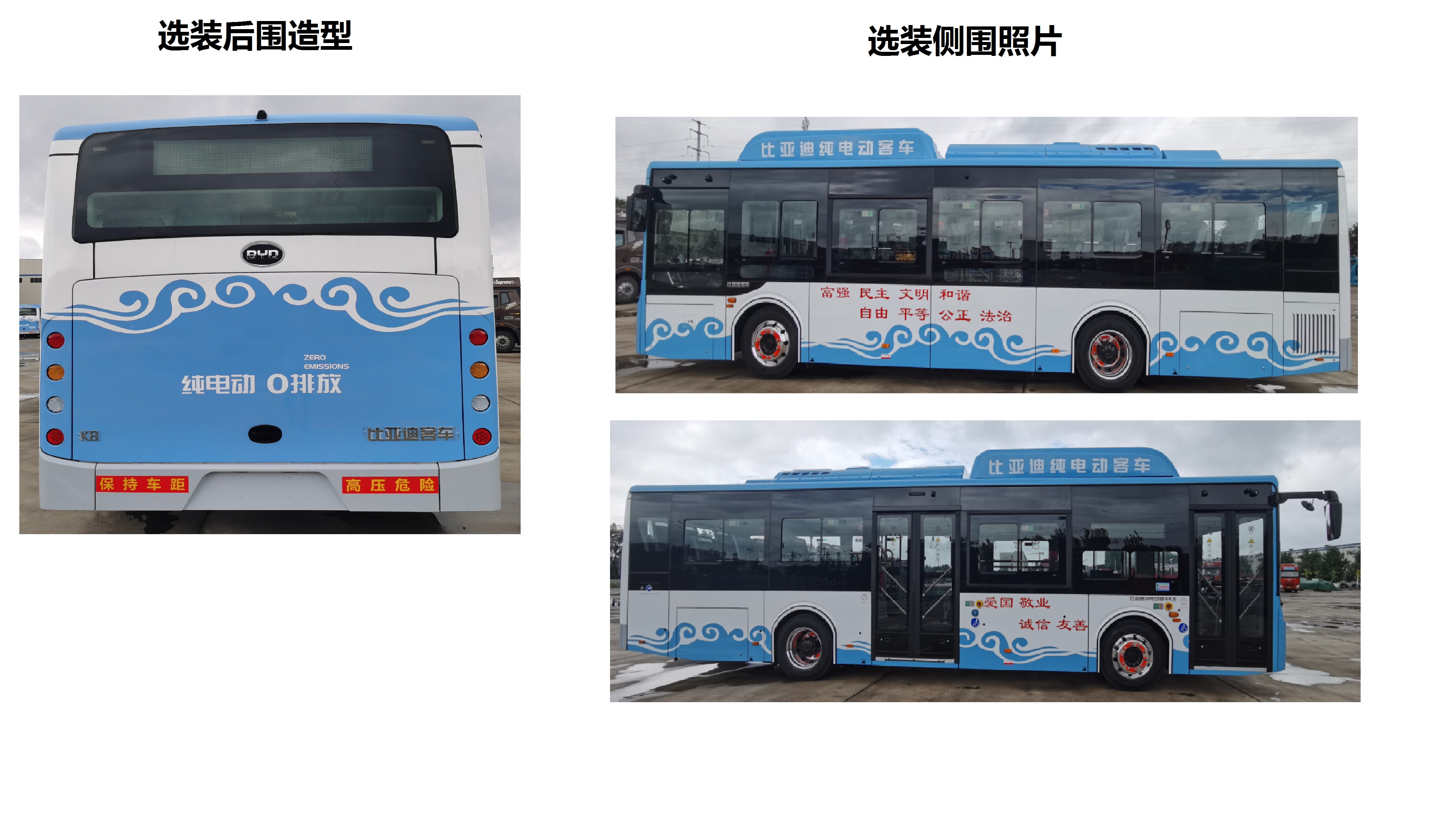 比亚迪牌BYD6101LGEV11纯电动低入口城市客车公告图片