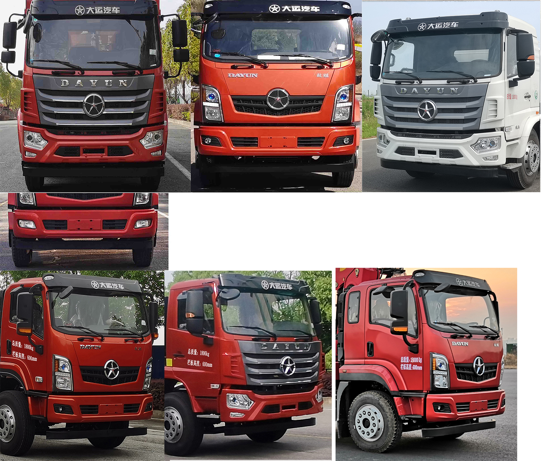 大運(yùn)牌DYQ5183JSQD6AC隨車起重運(yùn)輸車公告圖片