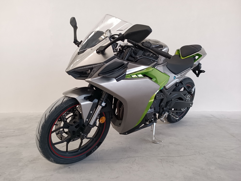 新感觉牌XGJ300GS两轮摩托车图片