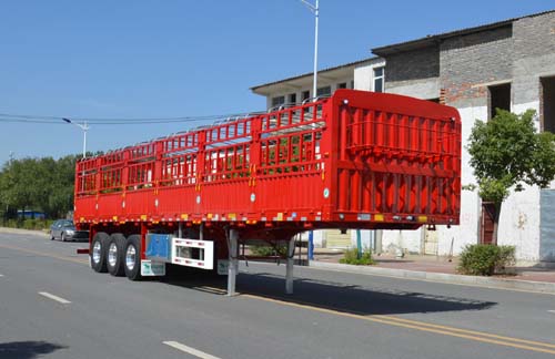天骏德锦牌13米31吨3轴仓栅式运输半挂车(TJV9371CCYG)