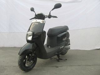 FK100T-5D两轮摩托车