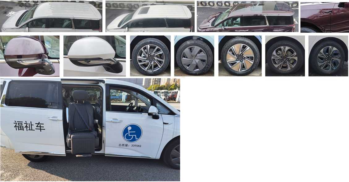大通牌SH5031XFZT1BEV-9純電動(dòng)福祉車(chē)公告圖片