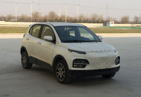 大运牌CGC7000BEV2J4型纯电动轿车