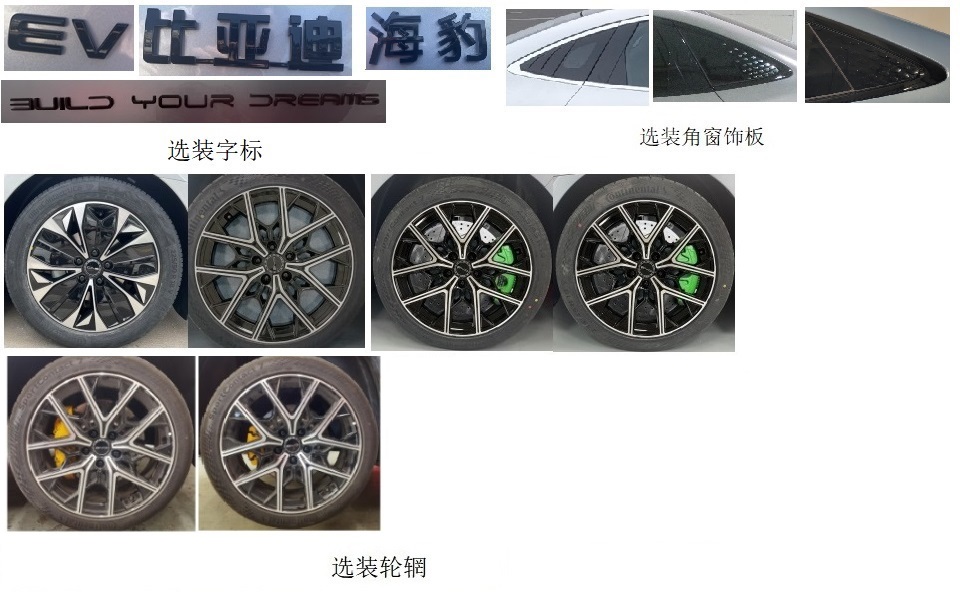 比亚迪牌BYD7006BEVA2纯电动轿车公告图片