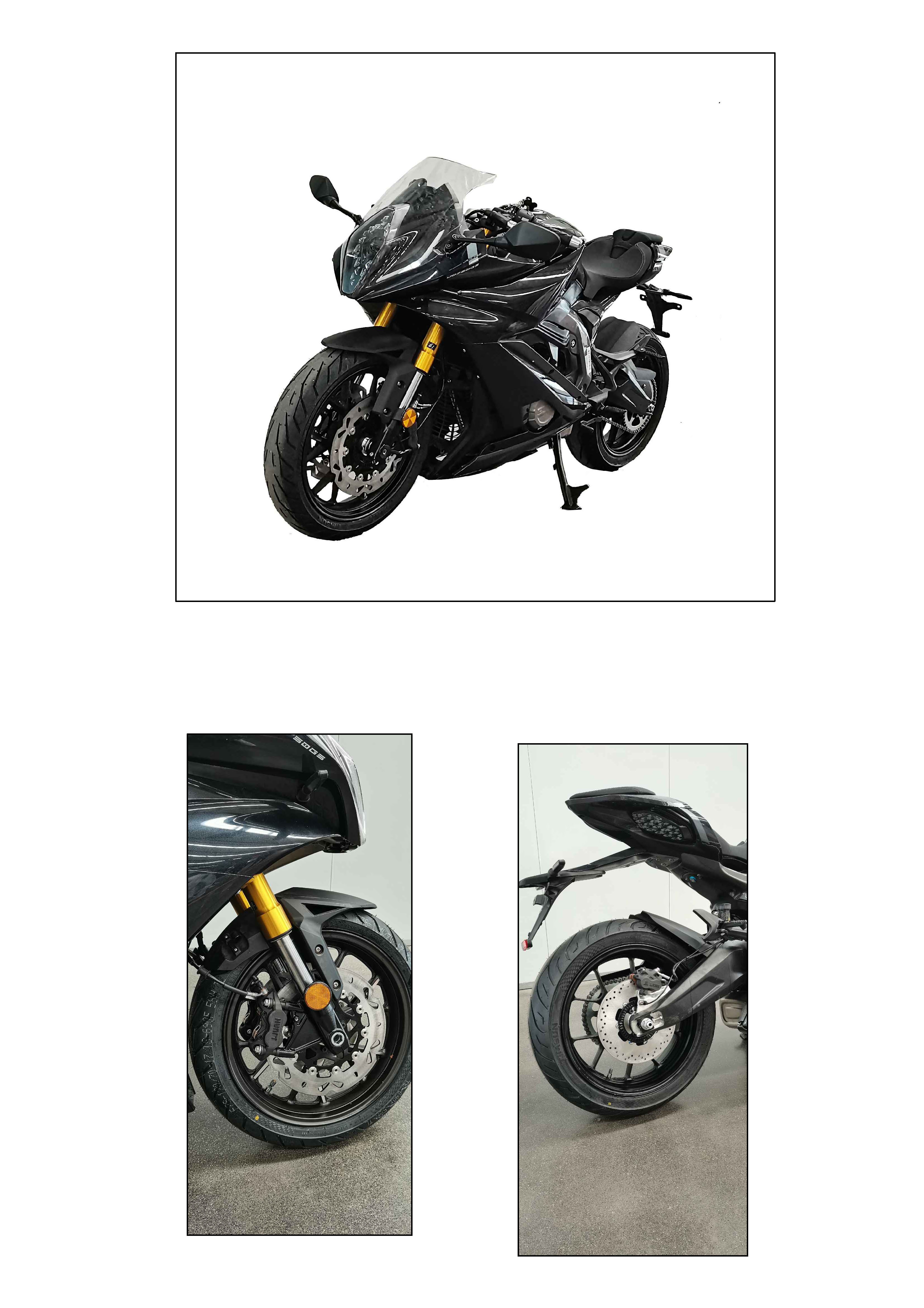 杰迪牌JD750GS两轮摩托车公告图片