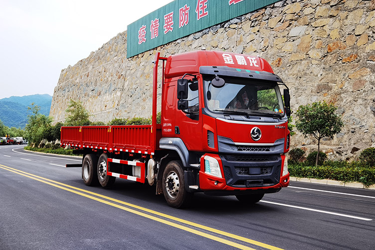 三龙龙江牌CZW1250E62A载货汽车图片