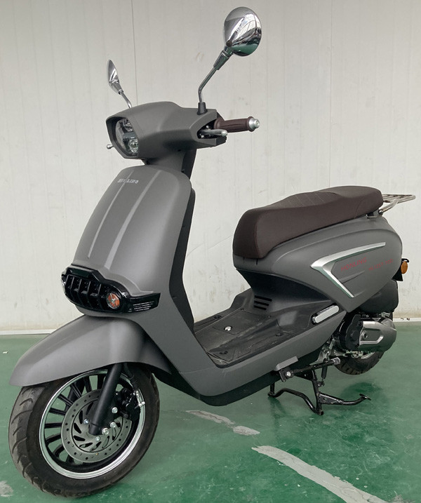 本菱牌HL125T-10D两轮摩托车图片