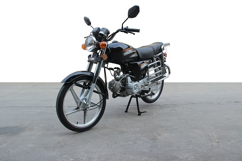 双狮牌SS110-5C两轮摩托车图片