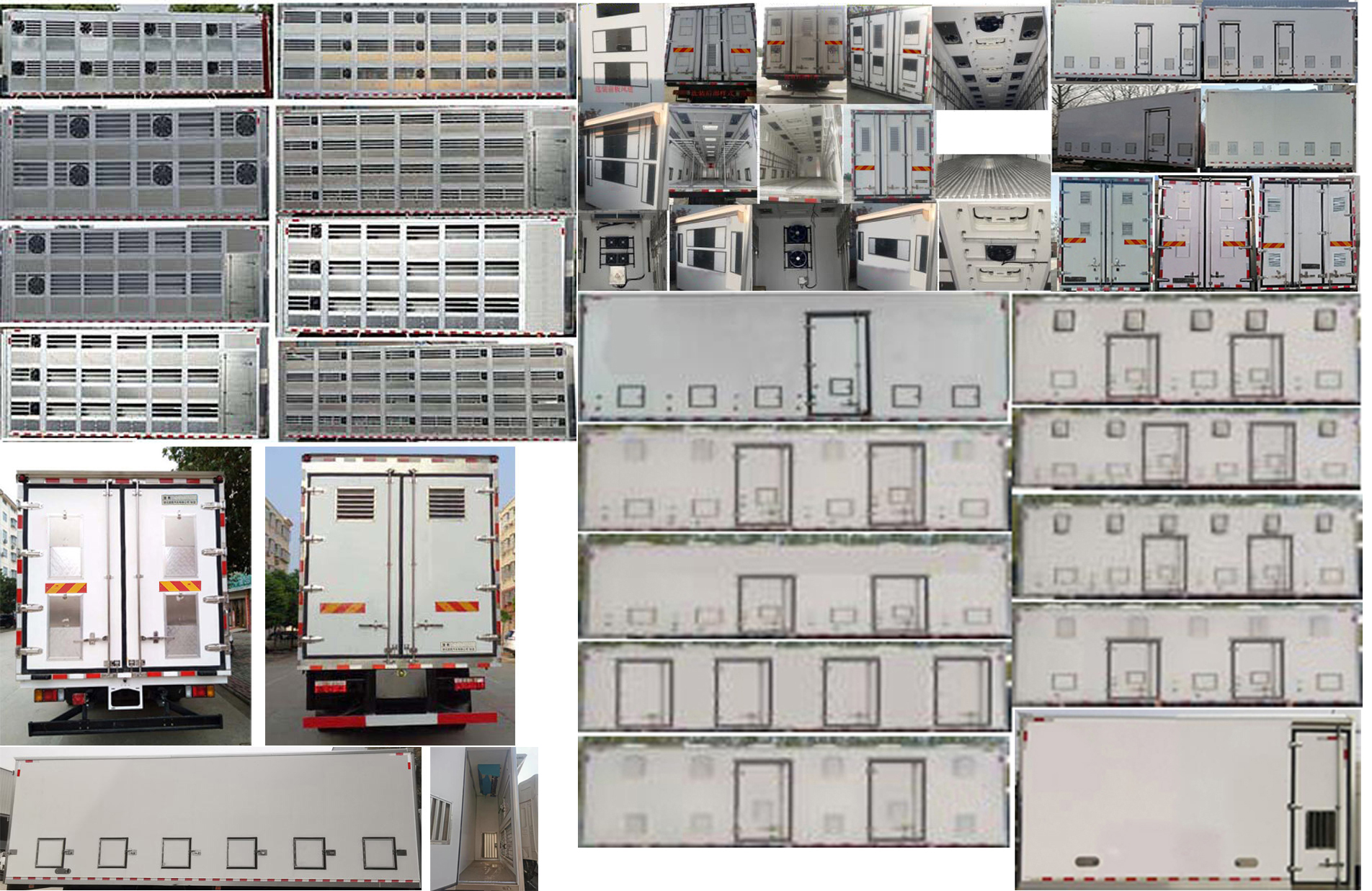 楚勝牌CSC5186XCQB6雛禽運輸車公告圖片