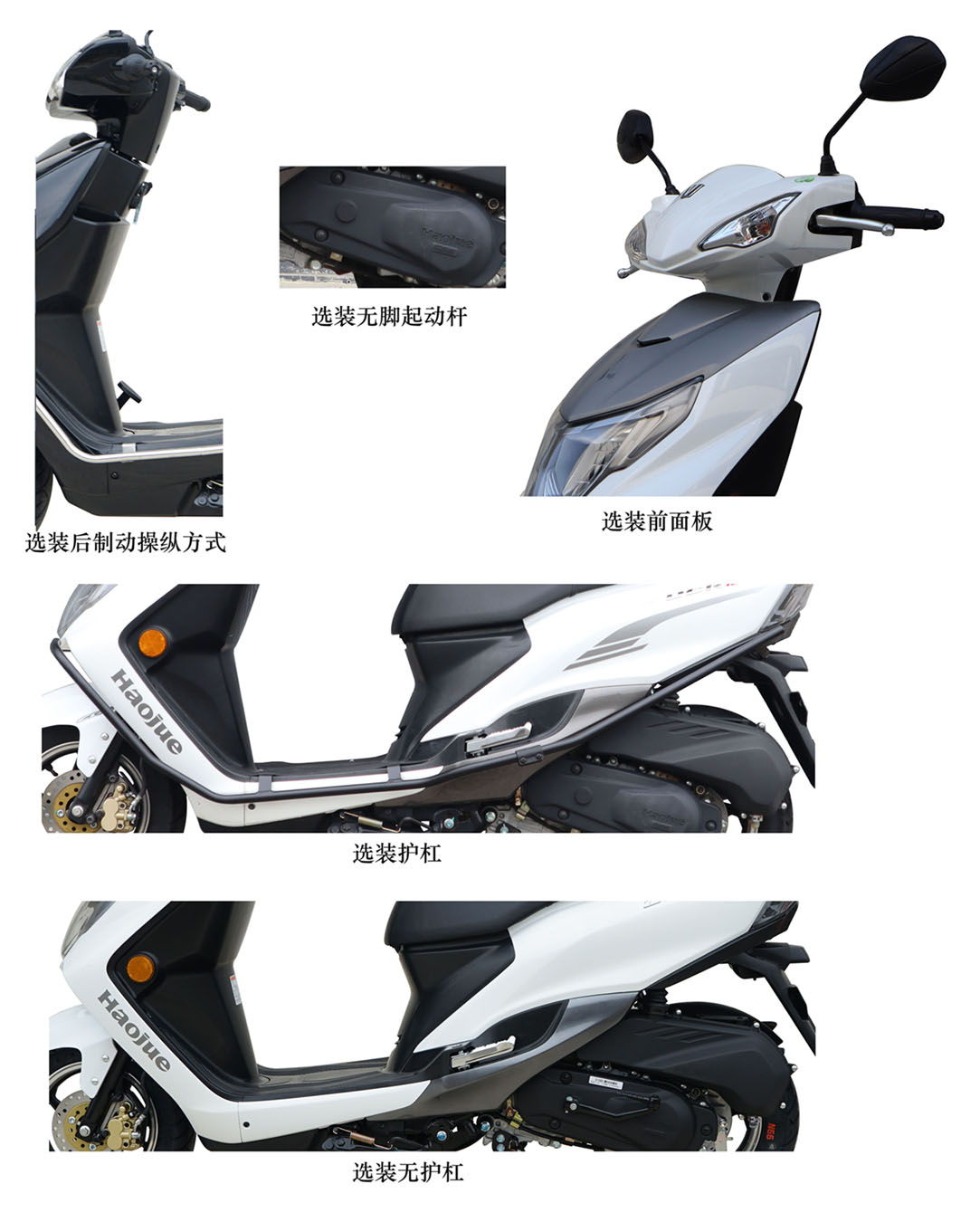 豪爵牌HJ100T-10两轮摩托车公告图片