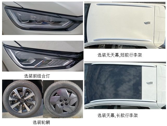 比亚迪牌BYD7002BEV11纯电动轿车公告图片