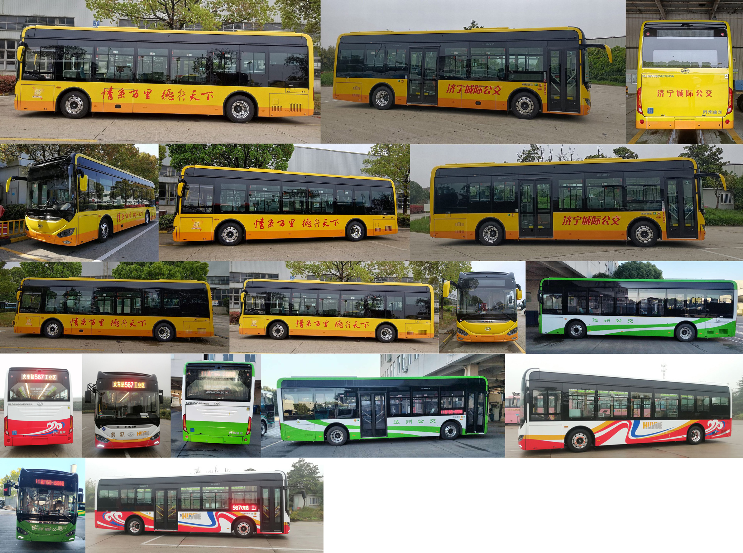 海格牌KLQ6106GAEVN5A纯电动低入口城市客车公告图片