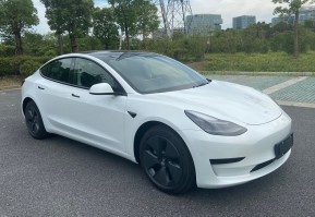 特斯拉牌TSL7000BEVAR4型纯电动轿车