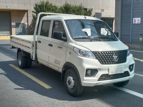 福田牌BJ1030V3AV8-36载货汽车图片