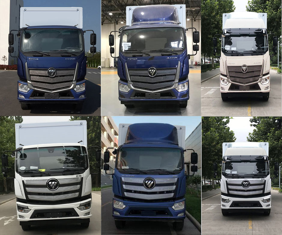 天順牌CHZ5181XYMB6運(yùn)馬車公告圖片