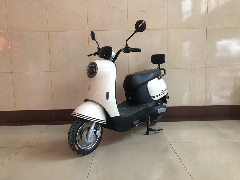 钟爱牌ZA1200DT-9电动两轮摩托车公告图片