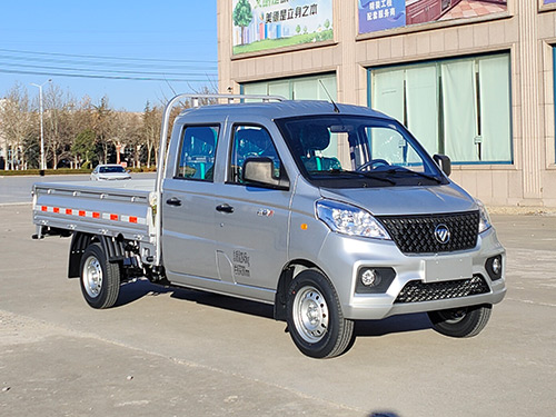 福田牌BJ1030V3AV5-12载货汽车图片