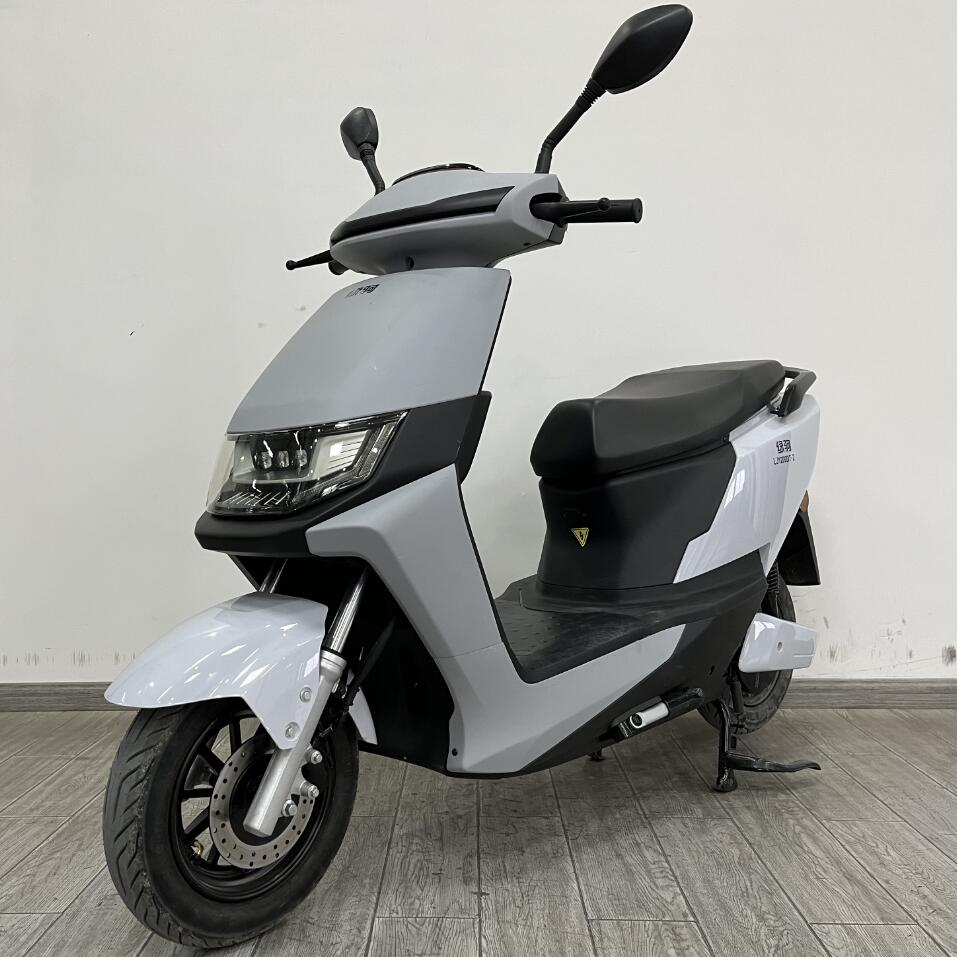 绿驹牌LJ1200DT-2电动两轮摩托车公告图片