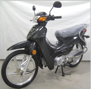 光速牌GS110-6两轮摩托车公告图片