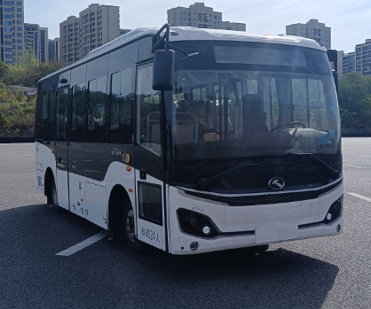 金龙牌XMQ6701WGBEVL纯电动城市客车图片