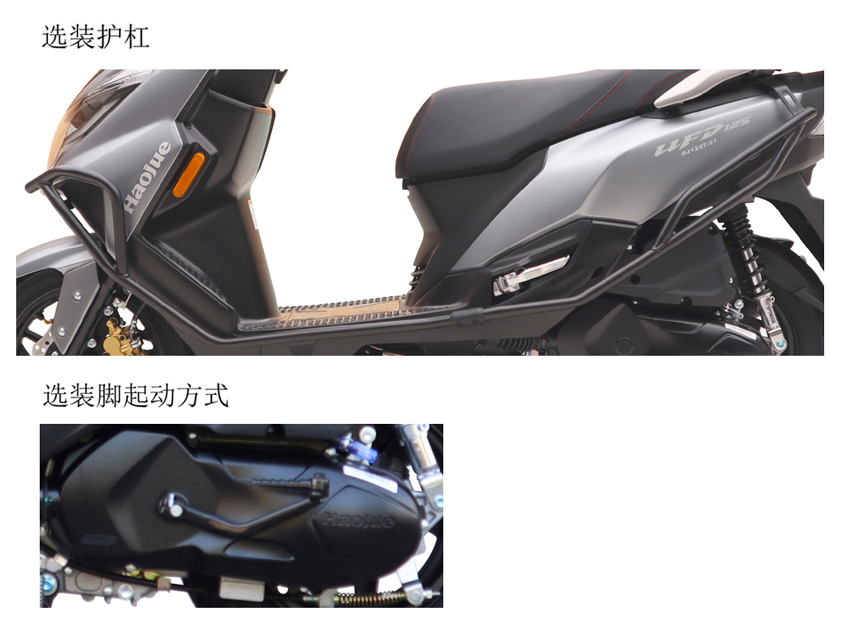 豪爵牌HJ125T-51两轮摩托车公告图片