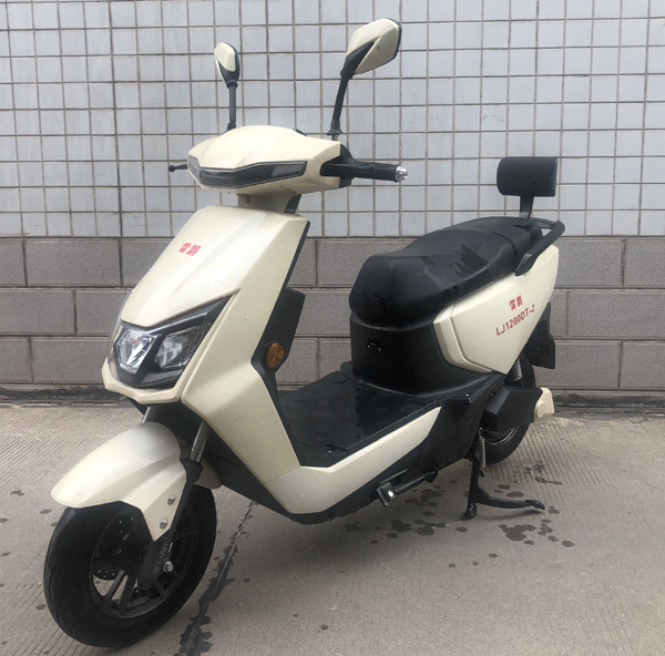 雷爵牌LJ1200DT-2电动两轮摩托车公告图片