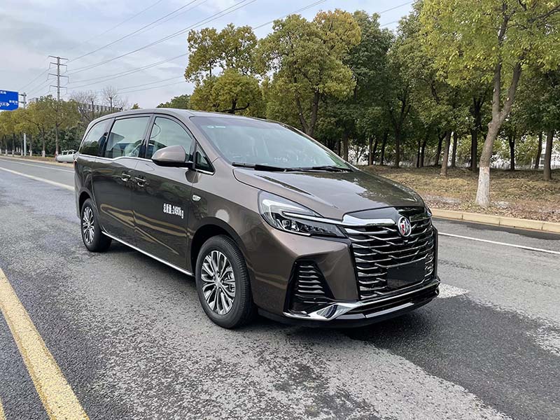 東鷗牌ZQK5028XBY6殯儀車(chē)公告圖片