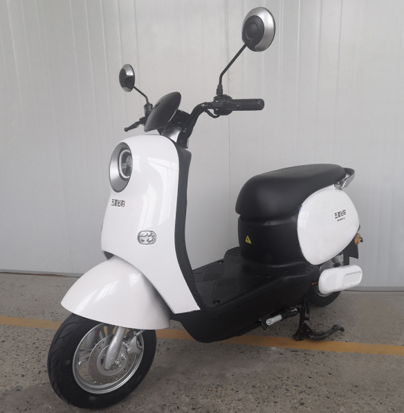 五星钻豹牌ZB1200DT-32电动两轮摩托车公告图片