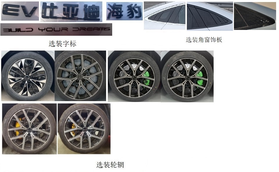 比亚迪牌BYD7006BEVA5纯电动轿车公告图片